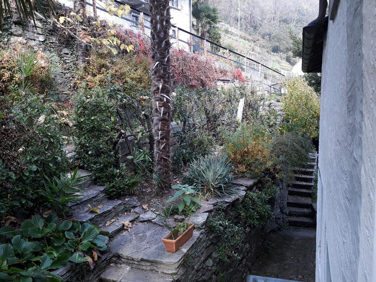 Apartmán Casa Tita Intragna Exteriér fotografie